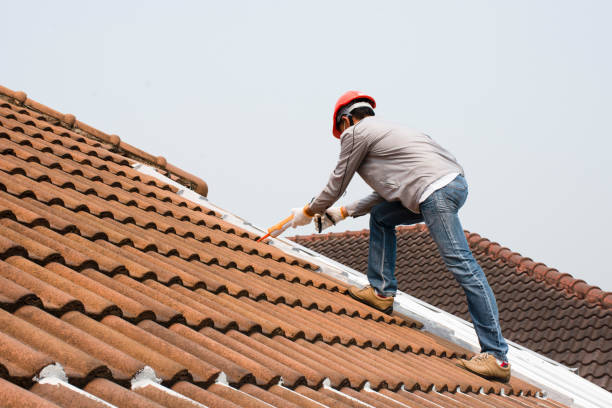 Best Metal Roofing Installation  in Auburndale, FL